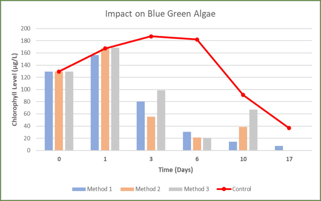 The graphs shows the impact of Eget Liber's technology on blue green algae's chlorophyll level.
You can see that the chlorophyll levels are very low as compared to sample even after 17 days of treatment. 